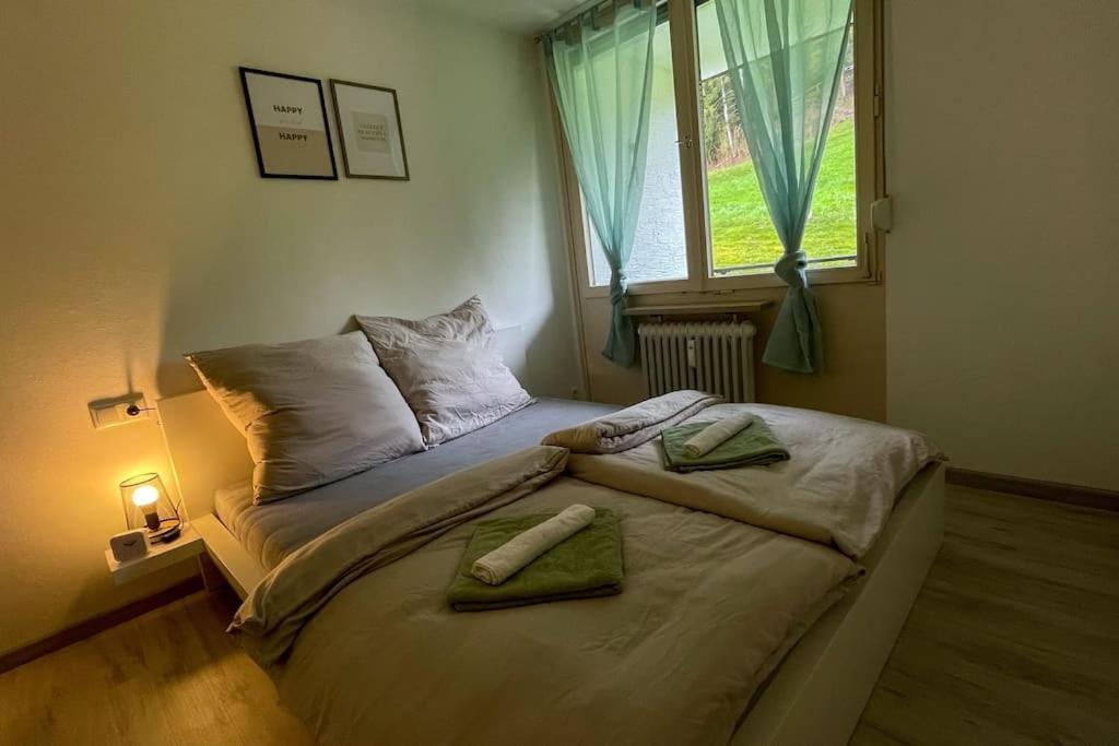 Shine Apartment אוברשטאופן מראה חיצוני תמונה
